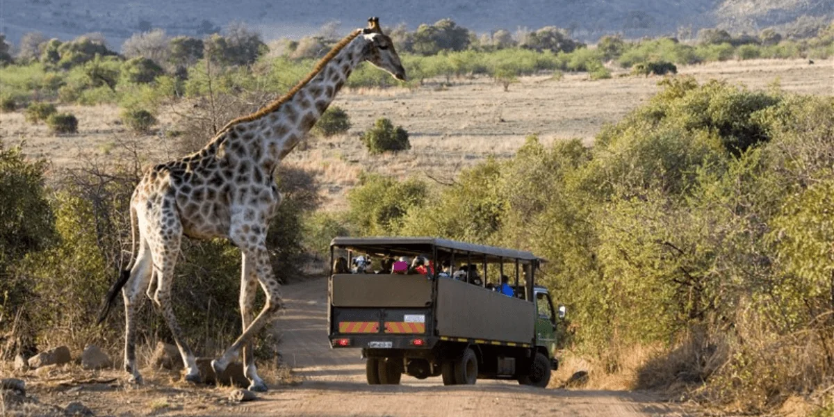 South Africa 3-min.webp